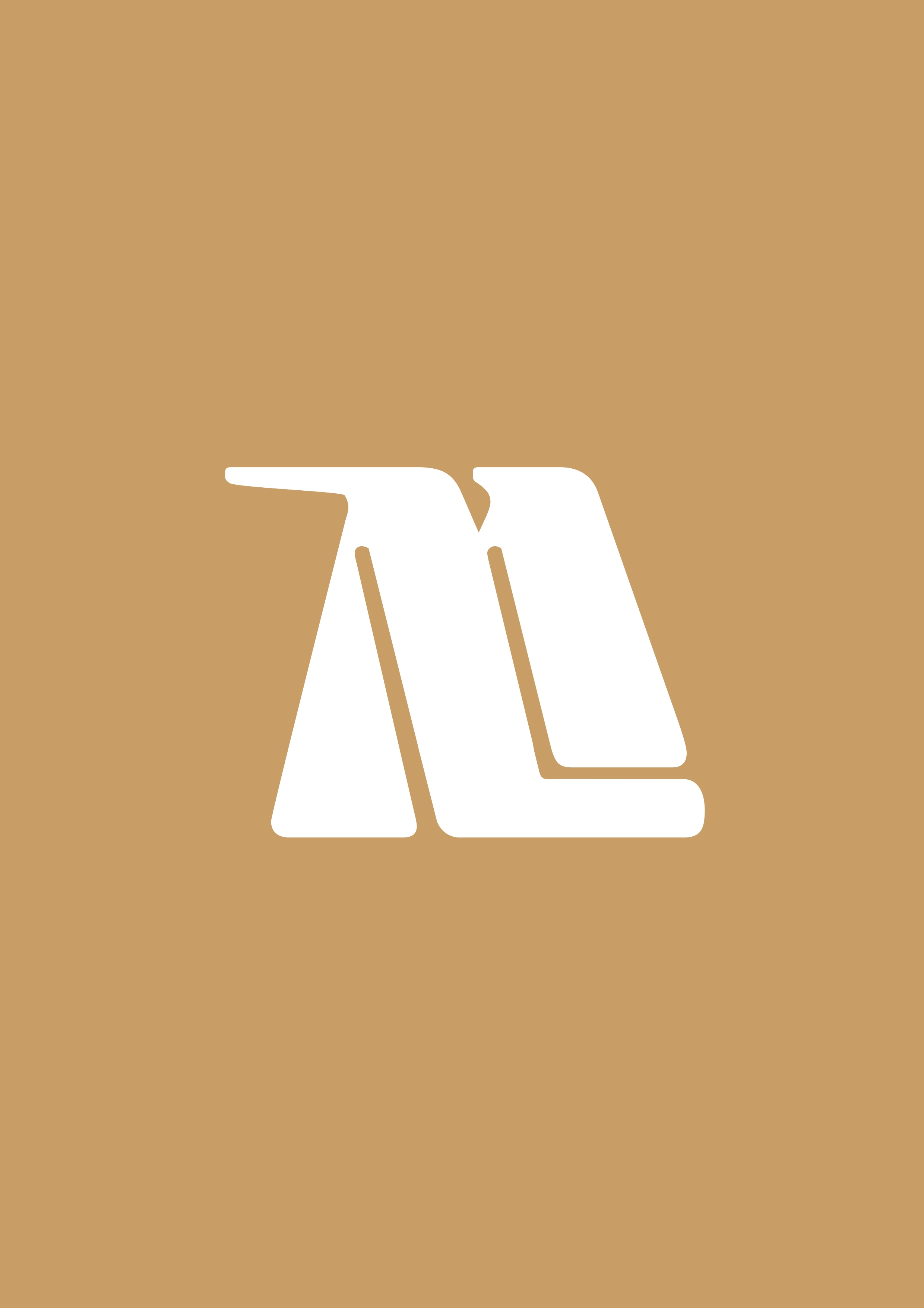 Logotype de mon identité visuelle